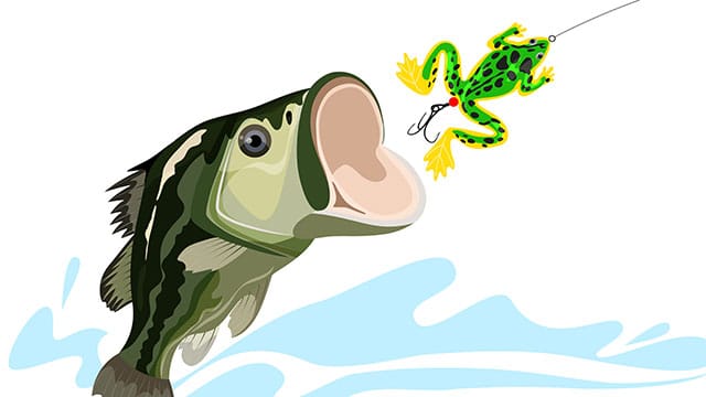 Frog Fishing For Bass: Tips, Tactics, And Tackle Outdoor, 49% OFF