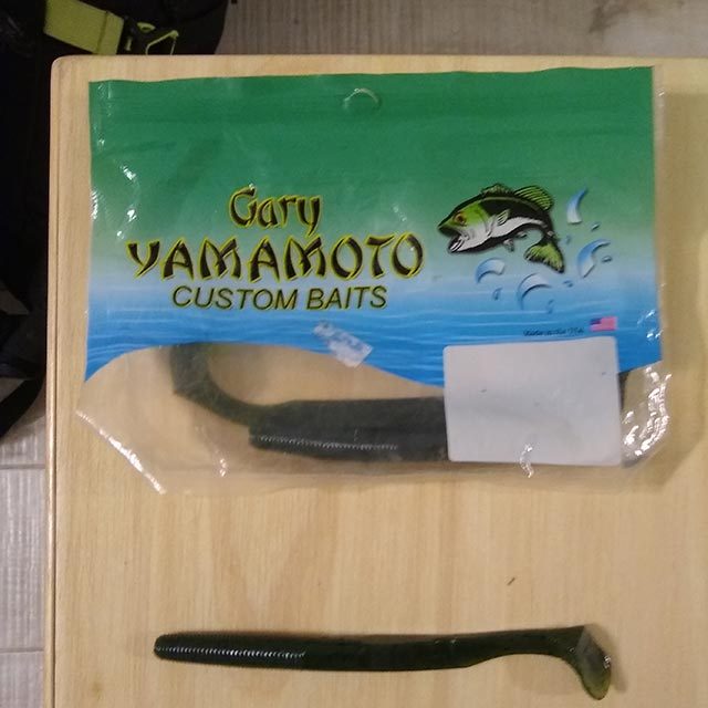 Yamamoto-swimming-worm