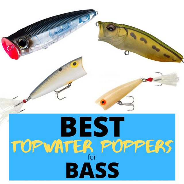 2 3/4 inch 1/3 oz Topwater Popper Fishing Lures For Bass Fishing T605 