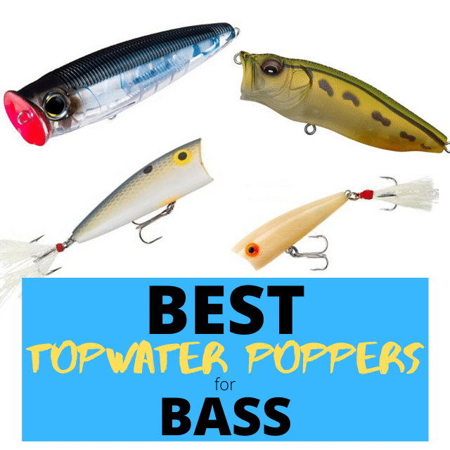 3 Best Topwater Poppers for Bass Fishing - Wish Upon A Fish