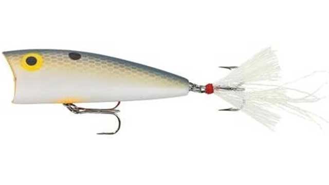 Best Popper Lures For Bass 