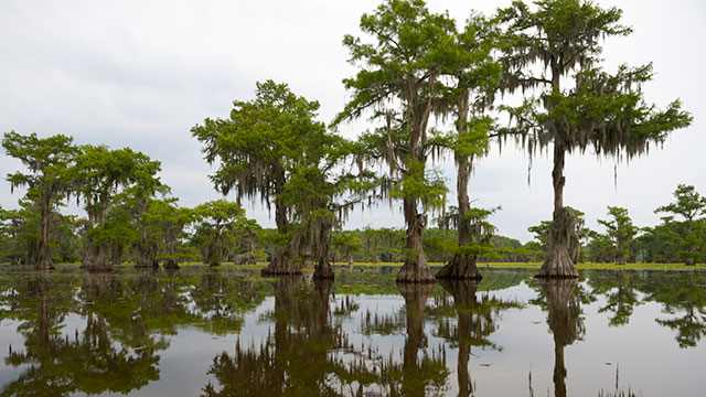 bass-fishing-murky-water-tips