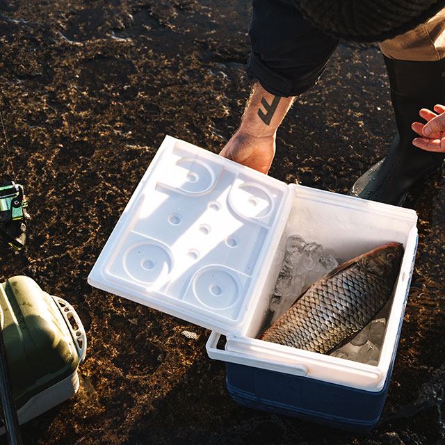 best-fishing-coolers