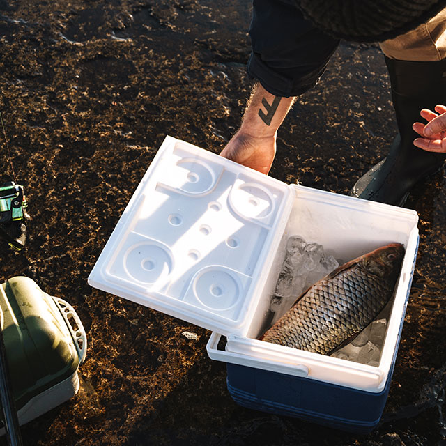 Best Coolers for Fishing in 2022 Wish Upon A Fish