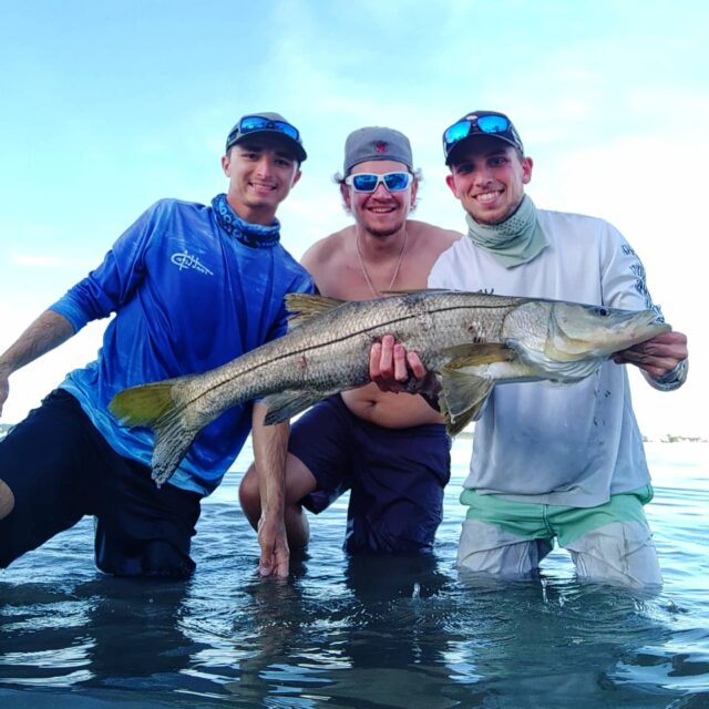 Snook - Tampa Bay, Fl